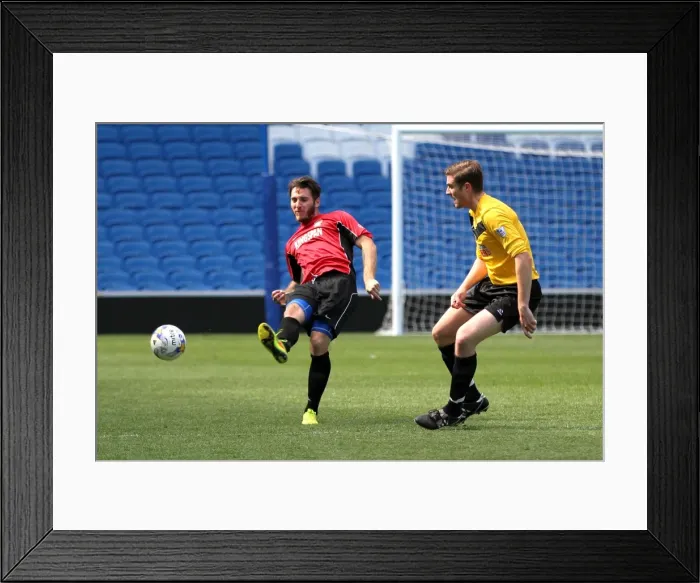 Framed Print : Brighton & Hove Albion: Playing on Pitch (April 28, 2015, 3:00 PM) Framed Print : Brighton & Hove Albion: Playing on Pitch (April 28, 2015, 3:00 PM)