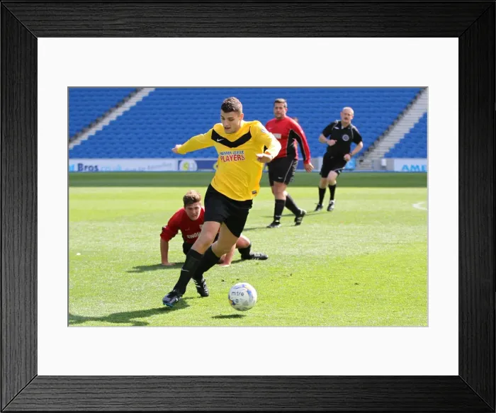 Framed Print : Brighton & Hove Albion: Playing on Pitch - April 28, 2015 (PM) Framed Print : Brighton & Hove Albion: Playing on Pitch - April 28, 2015 (PM)