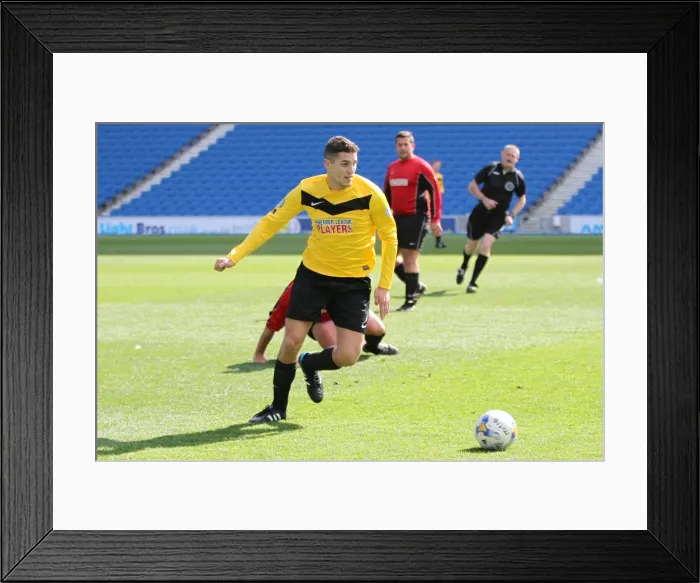 Framed Print : Brighton & Hove Albion: Playing on Pitch (April 28, 2015, 2:00 PM) Framed Print : Brighton & Hove Albion: Playing on Pitch (April 28, 2015, 2:00 PM)