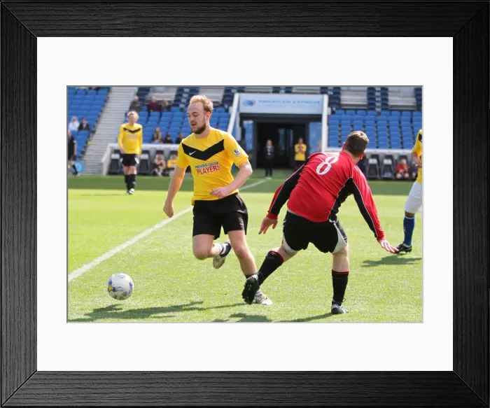 Framed Print : Brighton & Hove Albion: Playing on Pitch (April 2015) Framed Print : Brighton & Hove Albion: Playing on Pitch (April 2015)