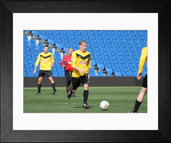 Framed Print : Brighton & Hove Albion: Playing on the Pitch (April 28, 2015, 3:00 PM) Framed Print : Brighton & Hove Albion: Playing on the Pitch (April 28, 2015, 3:00 PM)