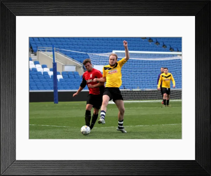 Framed Print : Brighton & Hove Albion: Playing on Pitch (April 28, 2015, 2:00 PM) Framed Print : Brighton & Hove Albion: Playing on Pitch (April 28, 2015, 2:00 PM)
