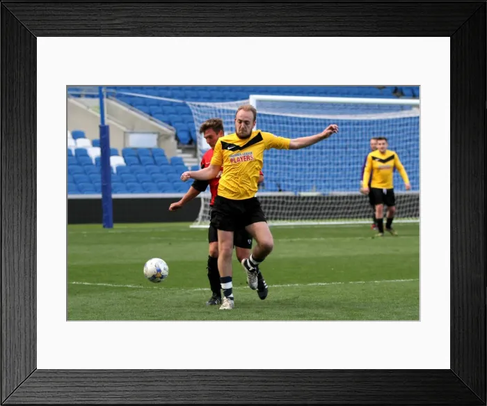 Framed Print : Brighton & Hove Albion: Playing on Pitch (03 / 28 / 15, 2:00 PM) Framed Print : Brighton & Hove Albion: Playing on Pitch (03 / 28 / 15, 2:00 PM)