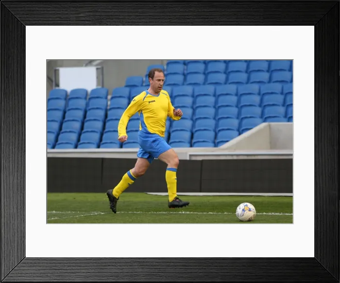 Framed Print : Brighton & Hove Albion: An Evening on the Pitch (April 28, 2015) Framed Print : Brighton & Hove Albion: An Evening on the Pitch (April 28, 2015)
