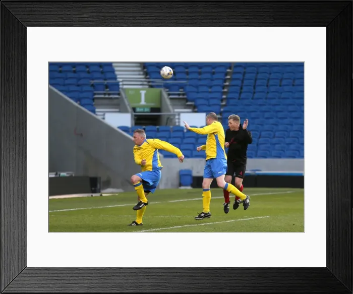 Framed Print : Brighton & Hove Albion: Playing on the Pitch (April 28, 2015) Framed Print : Brighton & Hove Albion: Playing on the Pitch (April 28, 2015)