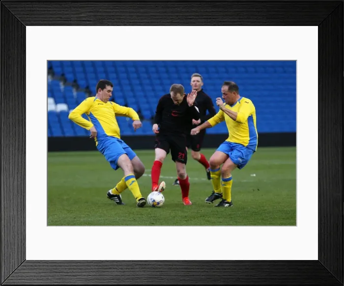 Framed Print : Brighton & Hove Albion: An Evening on the Pitch (April 28, 2015) Framed Print : Brighton & Hove Albion: An Evening on the Pitch (April 28, 2015)