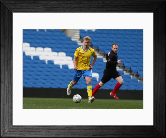Framed Print : Brighton & Hove Albion: An Evening on the Pitch (April 28, 2015) Framed Print : Brighton & Hove Albion: An Evening on the Pitch (April 28, 2015)