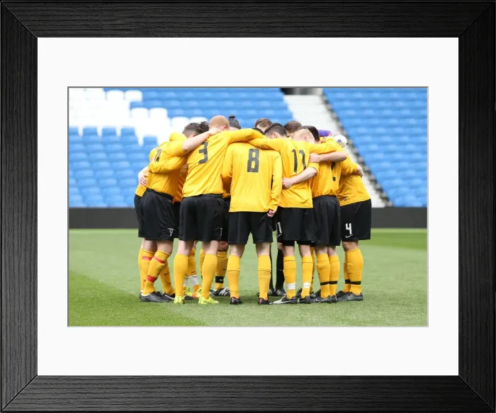 Framed Print : Brighton & Hove Albion: Playing on Pitch, April 29, 2015 (PM)