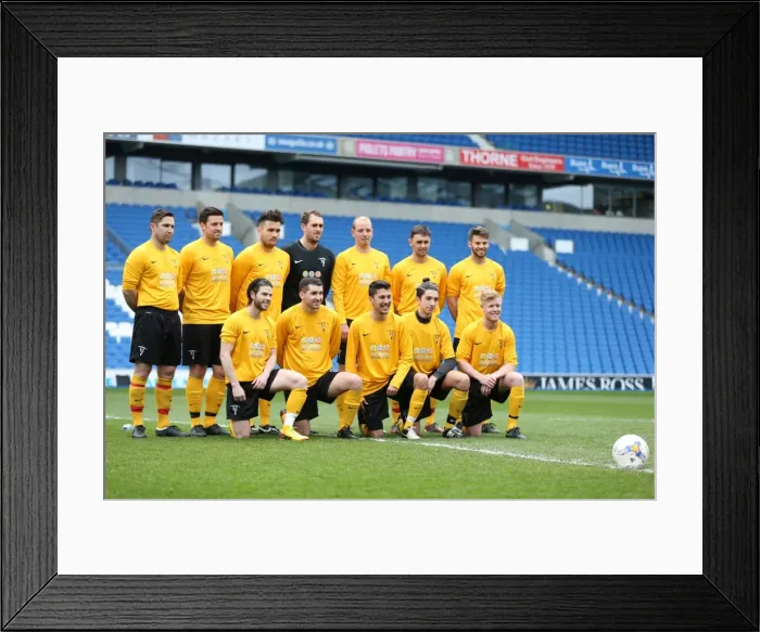 Framed Print : Brighton & Hove Albion: Playing on Pitch (April 29, 2015, 5:00 PM)