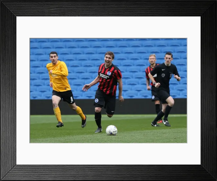 Framed Print : Brighton & Hove Albion: Playing on Pitch (April 29, 2015, 5:00 PM) Framed Print : Brighton & Hove Albion: Playing on Pitch (April 29, 2015, 5:00 PM)