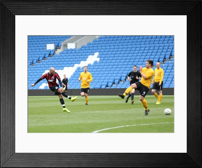 Framed Print : Brighton & Hove Albion: Playing on Pitch (April 29, 2015, 5:00 PM) Framed Print : Brighton & Hove Albion: Playing on Pitch (April 29, 2015, 5:00 PM)