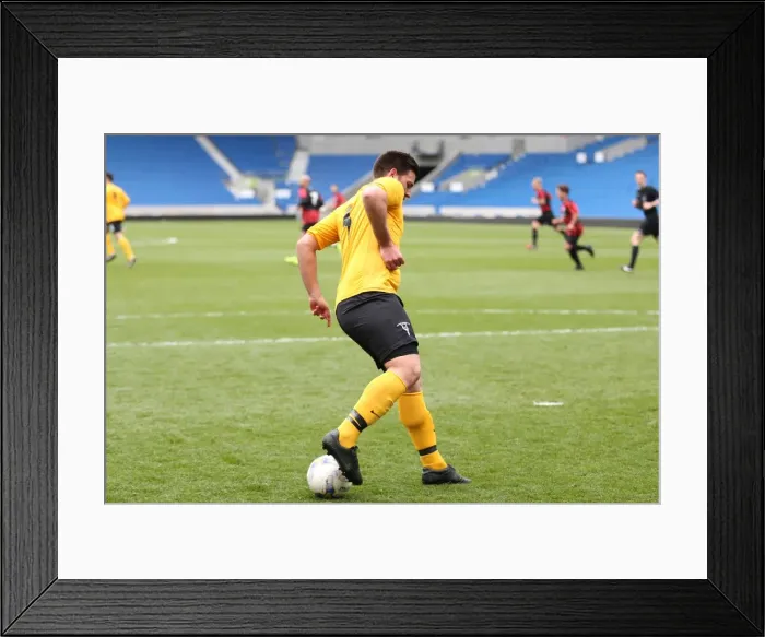 Framed Print : Brighton & Hove Albion: Playing on Pitch, April 29, 2015 (PM)