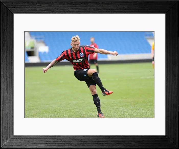 Framed Print : Brighton & Hove Albion: Players in Action on Pitch (April 29, 2015, 5:00 PM) Framed Print : Brighton & Hove Albion: Players in Action on Pitch (April 29, 2015, 5:00 PM)