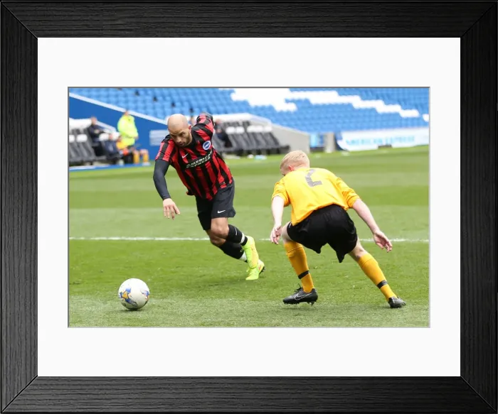 Framed Print : Brighton & Hove Albion: Playing on Pitch (April 29, 2015, 5:00 PM)