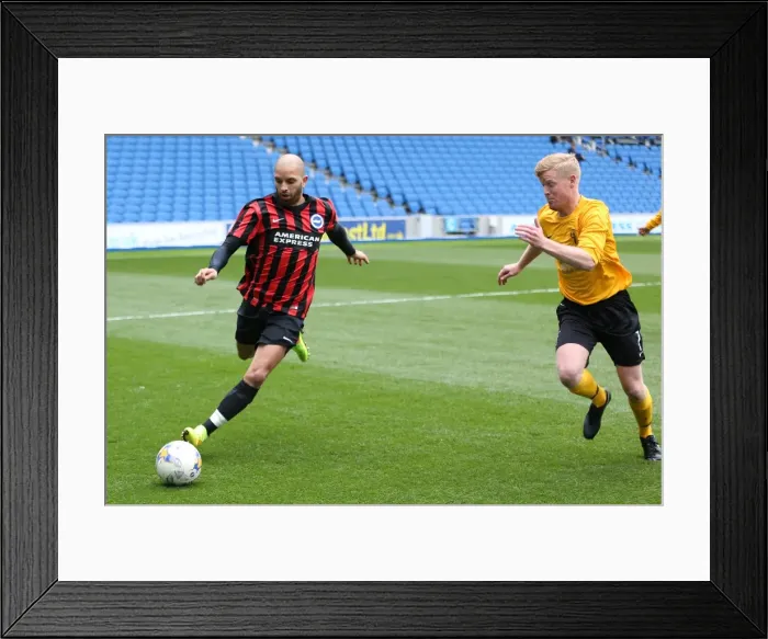Framed Print : Brighton & Hove Albion: Playing on Pitch (April 29, 2015 - PM) Framed Print : Brighton & Hove Albion: Playing on Pitch (April 29, 2015 - PM)