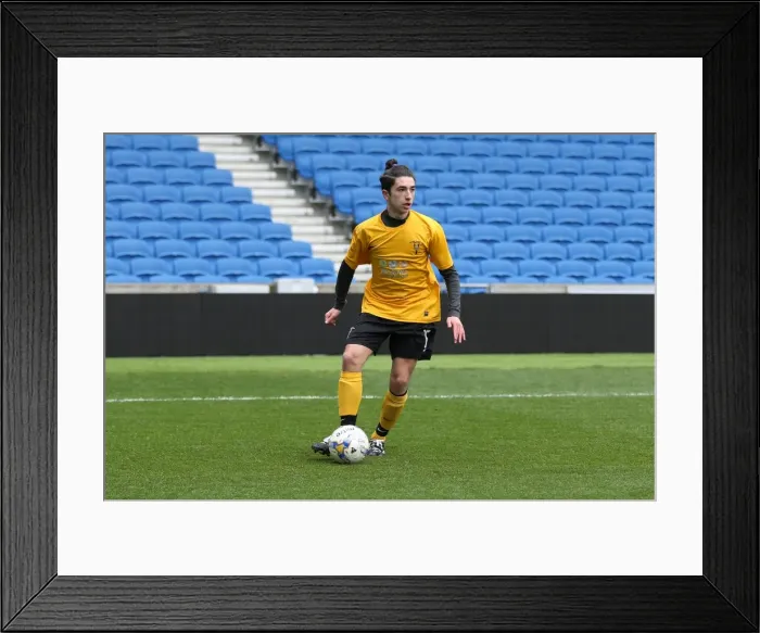 Framed Print : Brighton & Hove Albion: Playing on Pitch (April 29, 2015, 5:00 PM) Framed Print : Brighton & Hove Albion: Playing on Pitch (April 29, 2015, 5:00 PM)