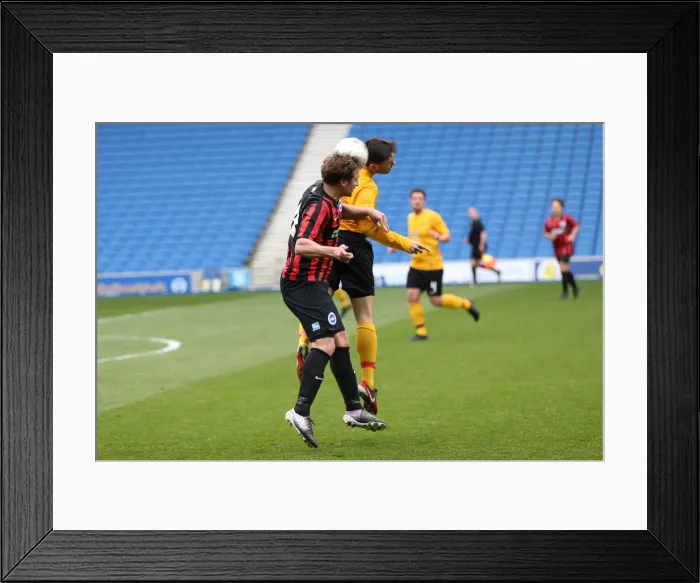 Framed Print : Brighton & Hove Albion: The Unforgettable Moment of Playing on Pitch (April 29, 2015, 5:00 PM) Framed Print : Brighton & Hove Albion: The Unforgettable Moment of Playing on Pitch (April 29, 2015, 5:00 PM)