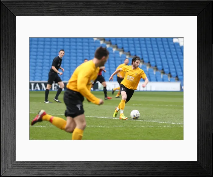 Framed Print : Brighton & Hove Albion: Playing on Pitch (April 29, 2015, 5:00 PM) Framed Print : Brighton & Hove Albion: Playing on Pitch (April 29, 2015, 5:00 PM)