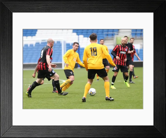 Framed Print : Brighton & Hove Albion: Playing on Pitch (April 29, 2015, 5:00 PM) Framed Print : Brighton & Hove Albion: Playing on Pitch (April 29, 2015, 5:00 PM)