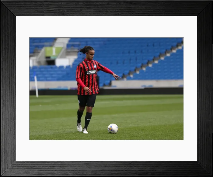 Framed Print : Brighton & Hove Albion: Playing on Pitch (April 29, 2015, 5:00 PM) Framed Print : Brighton & Hove Albion: Playing on Pitch (April 29, 2015, 5:00 PM)