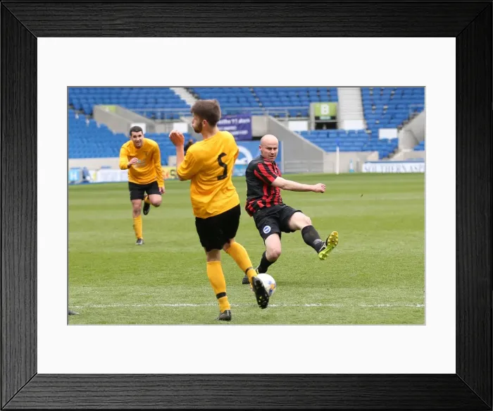 Framed Print : Brighton & Hove Albion: Playing on Pitch (April 29, 2015, 5:00 PM) Framed Print : Brighton & Hove Albion: Playing on Pitch (April 29, 2015, 5:00 PM)