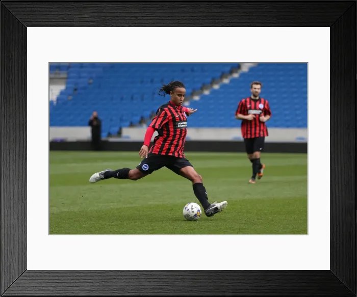 Framed Print : Brighton & Hove Albion: Playing on Pitch (April 29, 2015, 5:00 PM) Framed Print : Brighton & Hove Albion: Playing on Pitch (April 29, 2015, 5:00 PM)