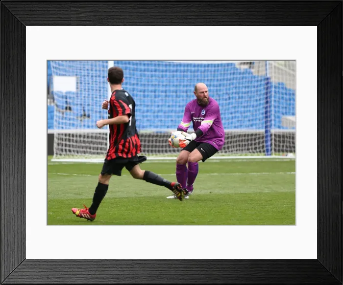 Framed Print : Brighton & Hove Albion: Playing on Pitch (April 29, 2015, 5:00 PM) Framed Print : Brighton & Hove Albion: Playing on Pitch (April 29, 2015, 5:00 PM)