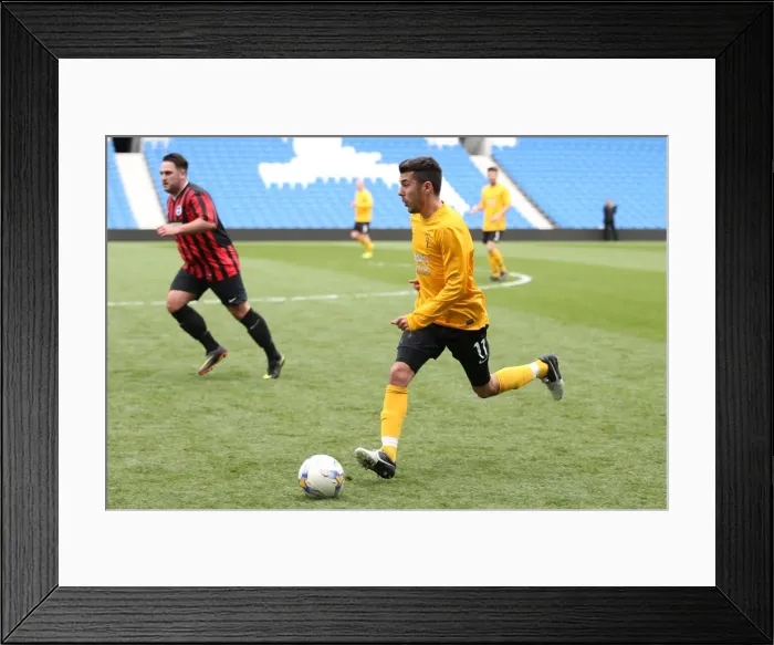 Framed Print : Brighton & Hove Albion: Playing on Pitch (5), April 29, 2015 (PM) Framed Print : Brighton & Hove Albion: Playing on Pitch (5), April 29, 2015 (PM)