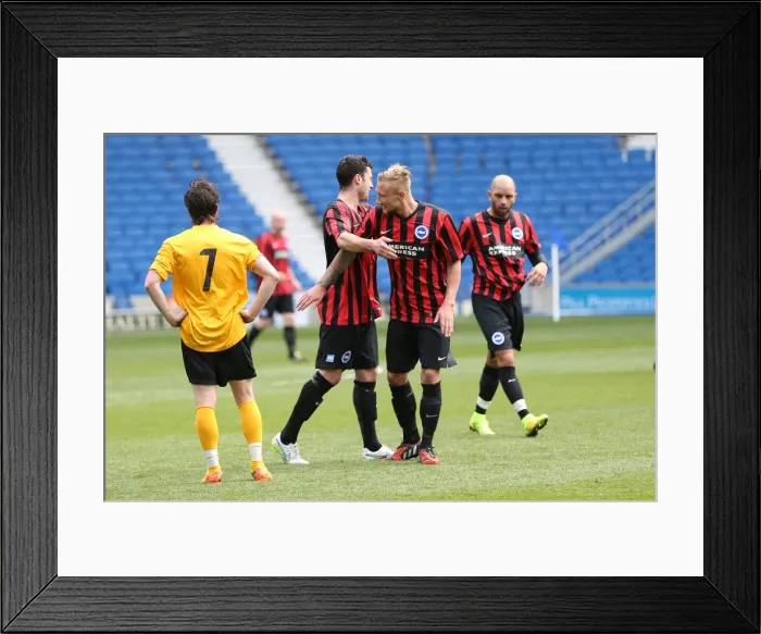 Framed Print : Brighton & Hove Albion: Playing on Pitch (April 29, 2015, 5:00 PM) Framed Print : Brighton & Hove Albion: Playing on Pitch (April 29, 2015, 5:00 PM)