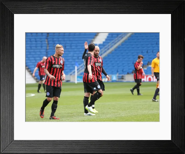 Framed Print : Brighton & Hove Albion: Playing on Pitch (April 29, 2015, 5:00 PM) Framed Print : Brighton & Hove Albion: Playing on Pitch (April 29, 2015, 5:00 PM)