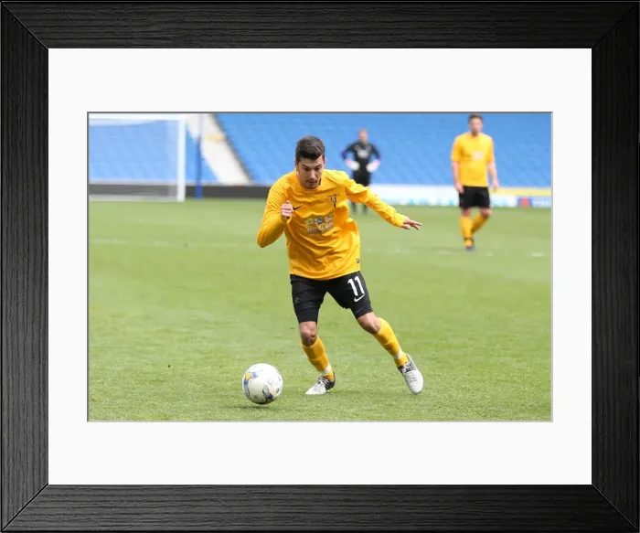 Framed Print : Brighton & Hove Albion: Playing on Pitch (05), April 29, 2015 (5:00 PM) Framed Print : Brighton & Hove Albion: Playing on Pitch (05), April 29, 2015 (5:00 PM)