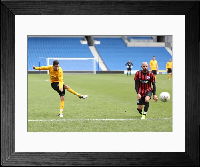 Framed Print : Brighton & Hove Albion: Playing on Pitch (05 / 29 / 15, 2:00 PM) Framed Print : Brighton & Hove Albion: Playing on Pitch (05 / 29 / 15, 2:00 PM)