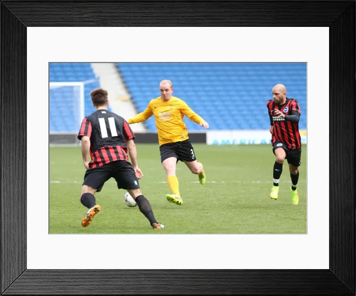 Framed Print : Brighton & Hove Albion: Playing on Pitch - April 29, 2015 (PM) Framed Print : Brighton & Hove Albion: Playing on Pitch - April 29, 2015 (PM)