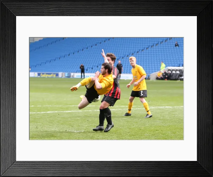 Framed Print : Brighton & Hove Albion: Playing on Pitch (April 29, 2015, 5:00 PM) Framed Print : Brighton & Hove Albion: Playing on Pitch (April 29, 2015, 5:00 PM)