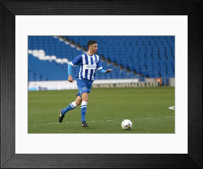 Framed Print : Brighton & Hove Albion: An Evening on the Pitch (April 29, 2015) Framed Print : Brighton & Hove Albion: An Evening on the Pitch (April 29, 2015)