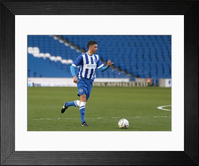 Framed Print : Brighton & Hove Albion: Playing on the Pitch (April 29, 2015) Framed Print : Brighton & Hove Albion: Playing on the Pitch (April 29, 2015)