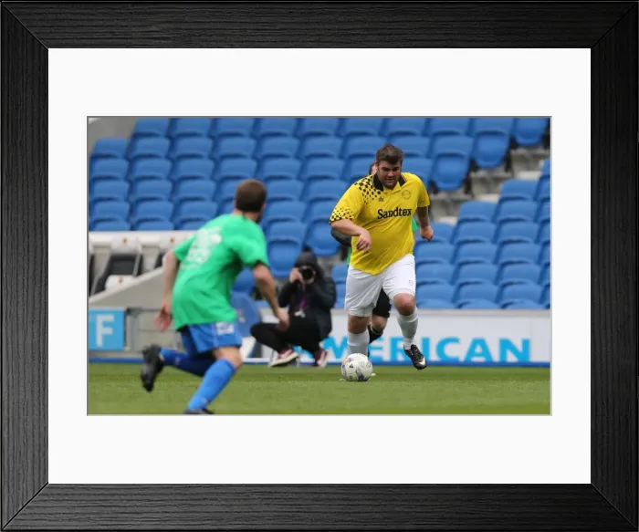 Framed Print : Brighton & Hove Albion: Play on the Pitch - A 2015 Experience at American Express Community Stadium