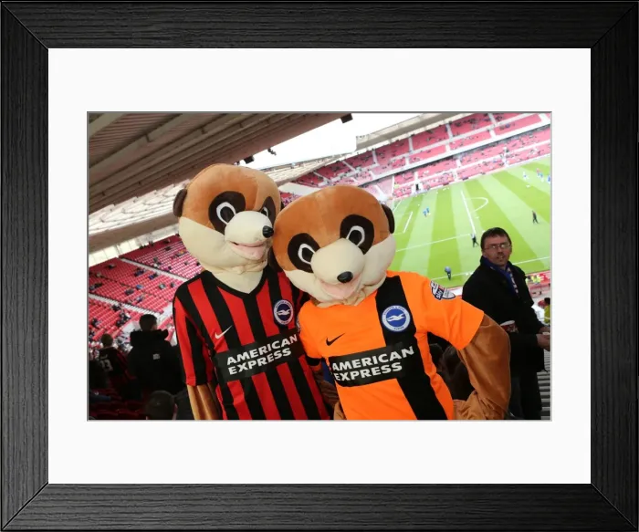 Framed Print : Unwavering Albion: Brighton & Hove Fans Passionate Support at Middlesbrough Championship Match (May 2015) Framed Print : Unwavering Albion: Brighton & Hove Fans Passionate Support at Middlesbrough Championship Match (May 2015)