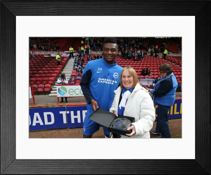 Framed Print : Brighton and Hove Albion FC: Away Fans Celebrate Player of the Season Awards vs Middlesbrough (May 2015) Framed Print : Brighton and Hove Albion FC: Away Fans Celebrate Player of the Season Awards vs Middlesbrough (May 2015)