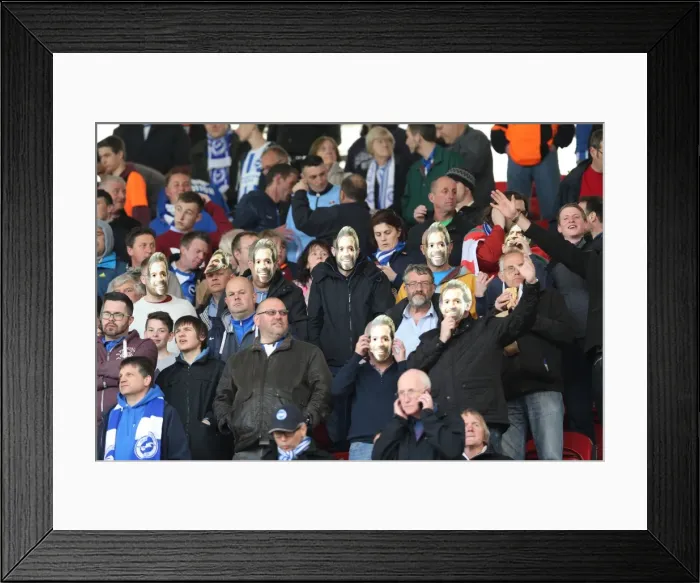 Framed Print : Brighton and Hove Albion Fans in Full Force: Middlesbrough Championship Showdown, May 2015 Framed Print : Brighton and Hove Albion Fans in Full Force: Middlesbrough Championship Showdown, May 2015
