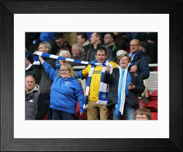 Framed Print : Unwavering Albion: Brighton and Hove Fans Passionate Support at Middlesbrough Championship Match (May 2015) Framed Print : Unwavering Albion: Brighton and Hove Fans Passionate Support at Middlesbrough Championship Match (May 2015)