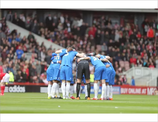 Brighton & Hove Albion's Unified Determination: Middlesbrough Clash, Riverside Stadium, May 2015