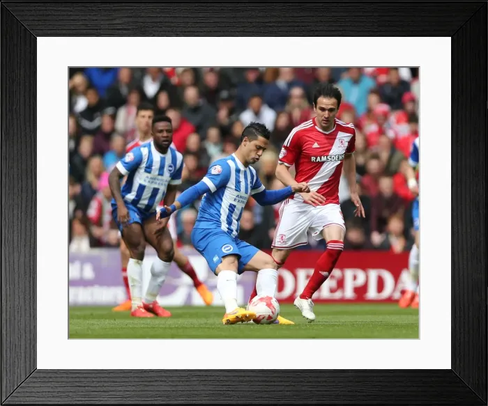 Framed Print : Brighton's Kayal Battles in Middlesbrough Championship Clash, May 2015 Framed Print : Brighton's Kayal Battles in Middlesbrough Championship Clash, May 2015