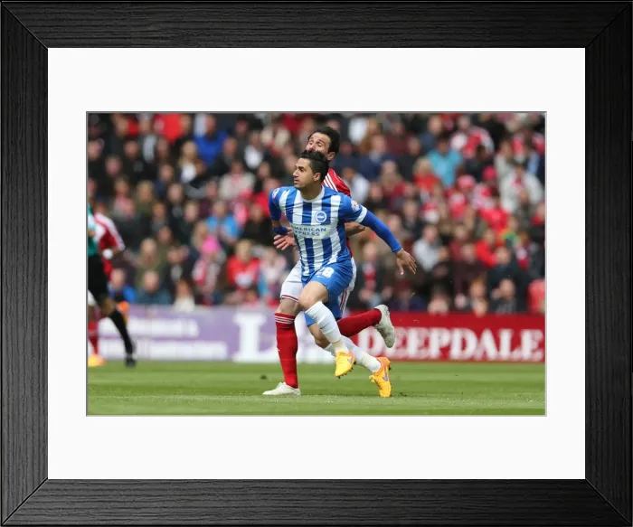 Framed Print : Brighton's Kayal Shines in Middlesbrough Showdown, May 2015 Framed Print : Brighton's Kayal Shines in Middlesbrough Showdown, May 2015