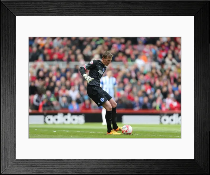 Framed Print : Christian Walton in Action: Middlesbrough vs. Brighton & Hove Albion (May 2015) - Sky Bet Championship Showdown Framed Print : Christian Walton in Action: Middlesbrough vs. Brighton & Hove Albion (May 2015) - Sky Bet Championship Showdown