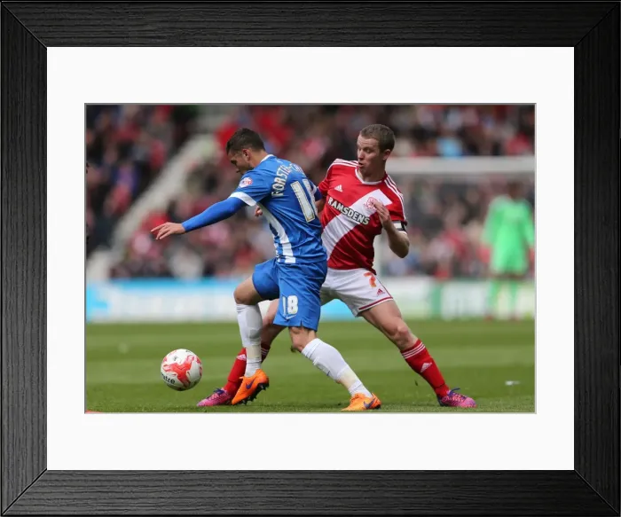 Framed Print : Forster-Caskey Battles for Possession: Brighton vs. Middlesbrough Championship Showdown (02MAY15) Framed Print : Forster-Caskey Battles for Possession: Brighton vs. Middlesbrough Championship Showdown (02MAY15)