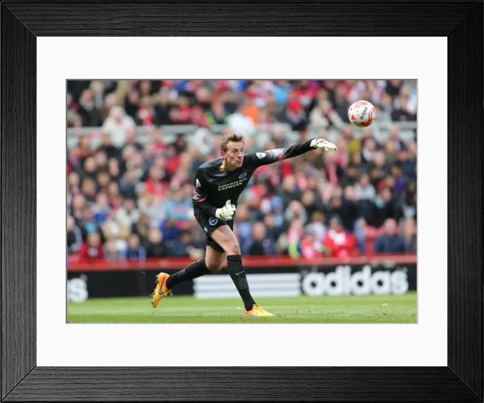 Framed Print : Christian Walton in Action for Brighton and Hove Albion vs. Middlesbrough, May 2015 Framed Print : Christian Walton in Action for Brighton and Hove Albion vs. Middlesbrough, May 2015