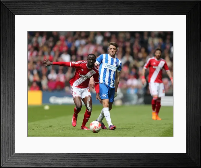 Framed Print : Dale Stephens Focused: Middlesbrough vs. Brighton & Hove Albion, Sky Bet Championship, 2nd May 2015