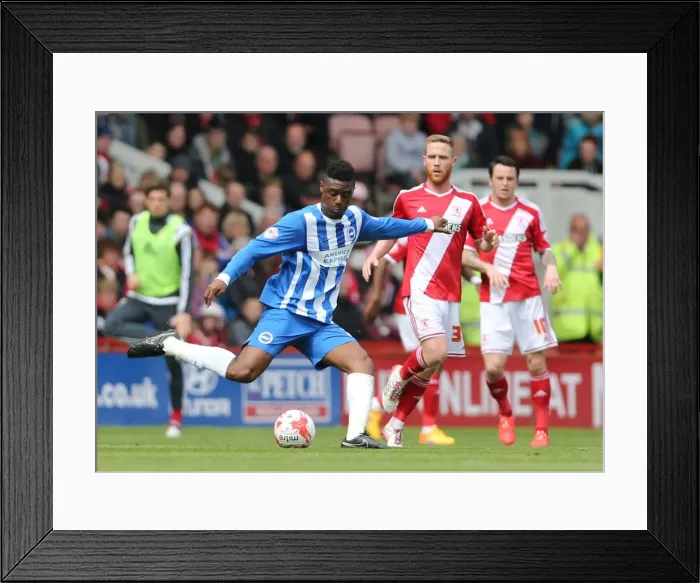 Framed Print : Rohan Ince: Intense Moment at Middlesbrough vs. Brighton & Hove Albion, Sky Bet Championship, May 2015 Framed Print : Rohan Ince: Intense Moment at Middlesbrough vs. Brighton & Hove Albion, Sky Bet Championship, May 2015