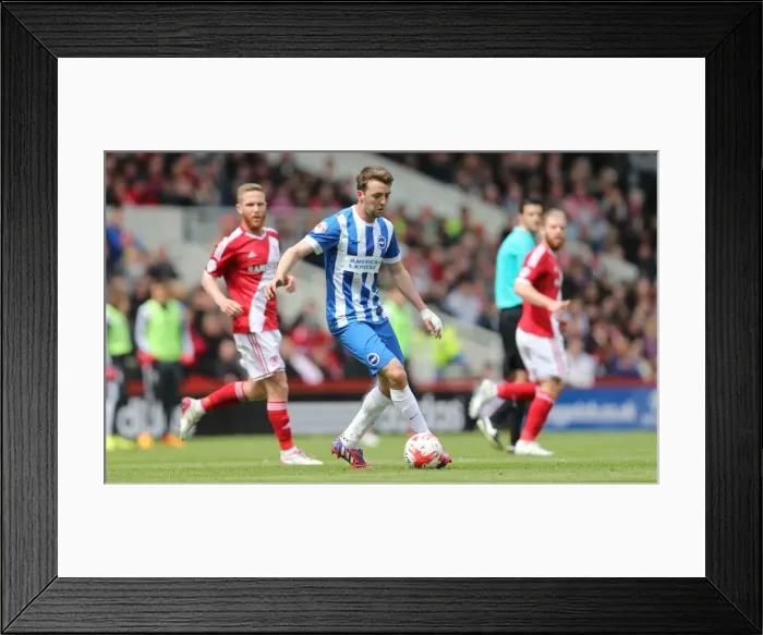 Framed Print : Dale Stephens in Action: Middlesbrough vs. Brighton & Hove Albion, Sky Bet Championship (2015)